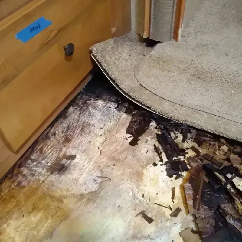 Wood Floor Water Damage in Adams County, WI